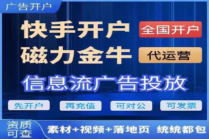 SEM代运营经典案例解析与启示
